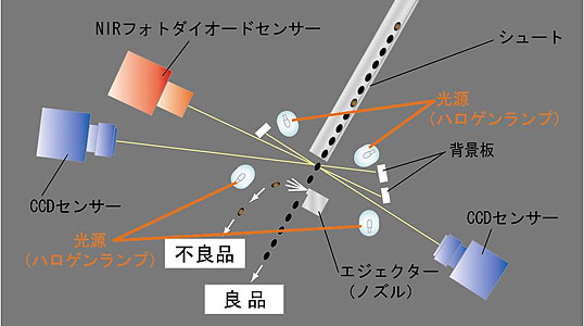 選別イメージ図