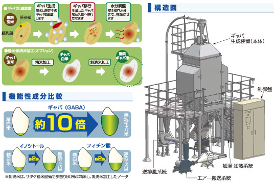 構造図と機能性成分の比較