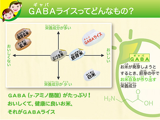 GABAライスってどんなもの？