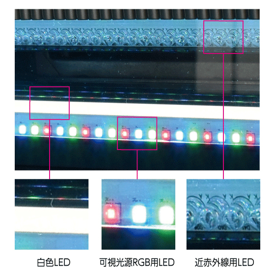 4LED-2.jpg