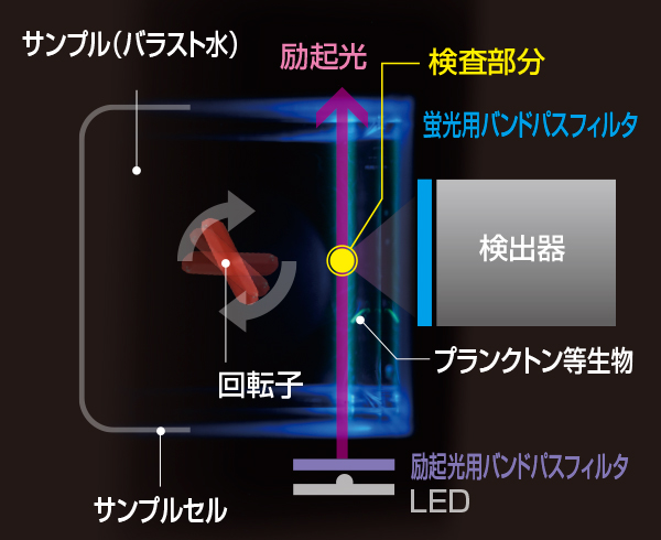バラストアイ内部構造