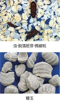 異物サンプル