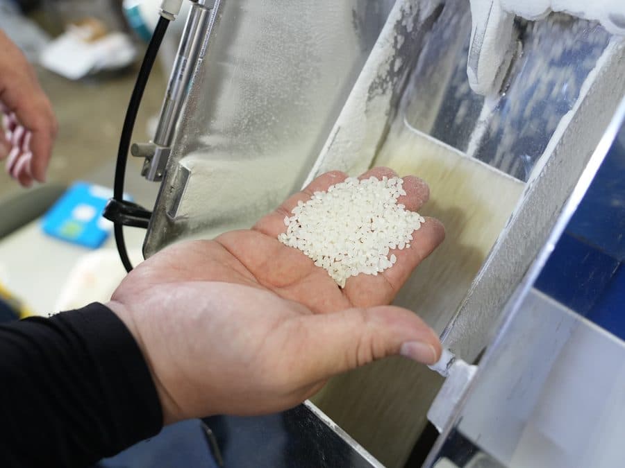 手のひらに載せた精米後のお米